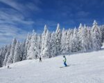 Stoki narciarskie na Pomorzu i Kujawach. Zobacz, gdzie warto wybrać się na zimowe szaleństwo!