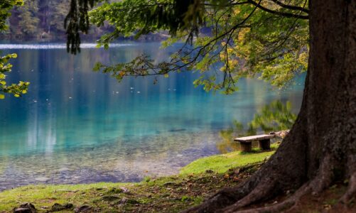 Idealny wypoczynek nad jeziorem w Borach Tucholskich – dlaczego warto?