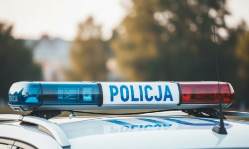 Kierowca z amfetaminą i kradzieżami paliwa w rękach policji!