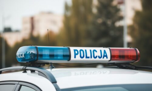 Elektryk z Przechlewa w rękach policji za włamania do domków letniskowych