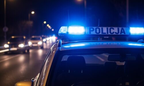 Oszuści w sieci: Mężczyzna stracił 6,5 tysiąca złotych na fałszywy pellet