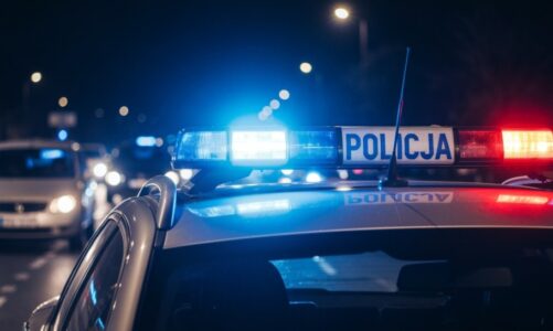 Roczne podsumowanie działań policji w Kartuzach