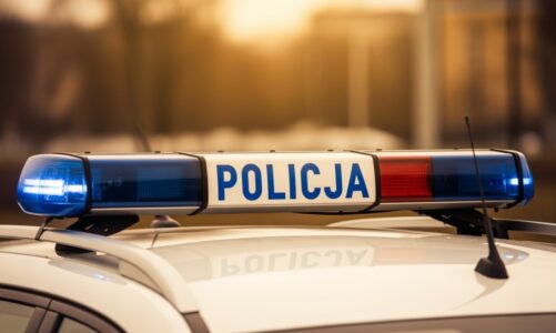 Bezpieczeństwo na pierwszym miejscu – tczewscy policjanci w Przedszkolu Słoneczko