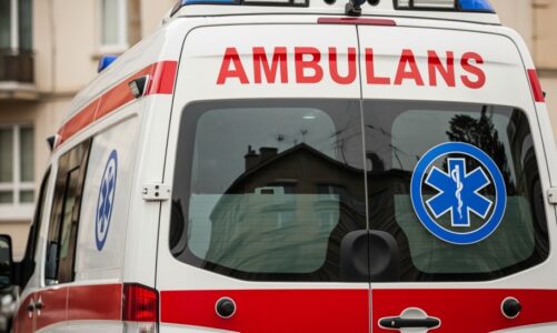 Bezpieczne grzybobranie: Policjanci i Straż Leśna w akcji