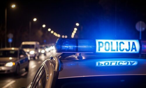 Profesjonalne szkolenie dla funkcjonariuszy w zakresie interwencji i reagowania na nietypowe sytuacje