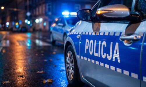 Blisko 180 tysięcy złotych strat. Chojniccy kryminalni zatrzymali 39-latka.