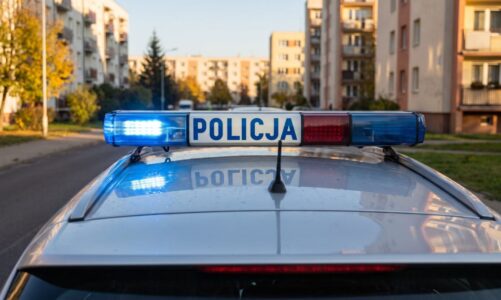 Zatrzymani oszuści „na policjanta” – 110 tysięcy złotych straty 92-letniej Tczewiance