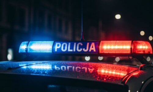 Alkohol, sprzeczka i kradzież: 39-latek w rękach policji