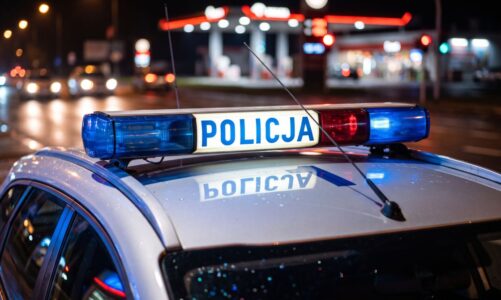 18-latek wpadł po kradzieży kamery i kart bankowych z samochodu