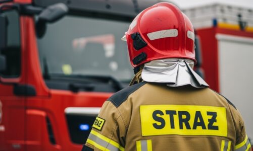 Zatrzymany za podpalenie śmietników w Oliwie
